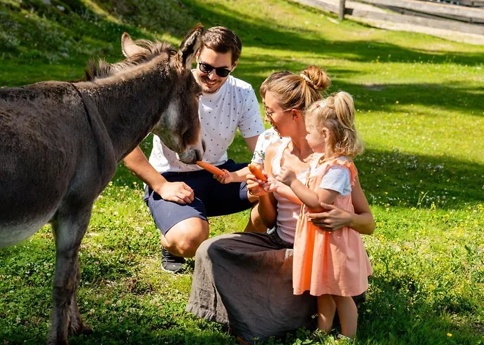 Tatil Evi Holiday Premium Waldjuwel By Interhome *